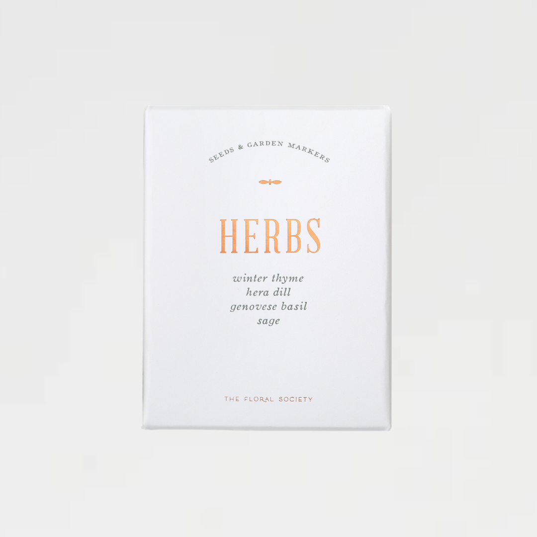 Herb Seed Kit